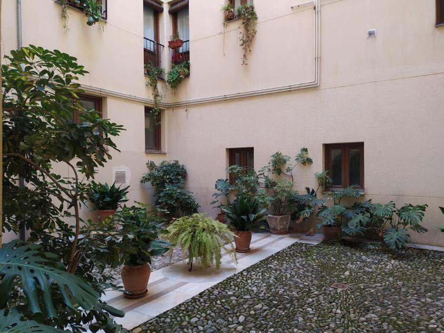 4 Balconies House, Central And Near The Alhambra غرناطة المظهر الخارجي الصورة